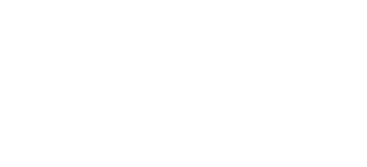 Ocho